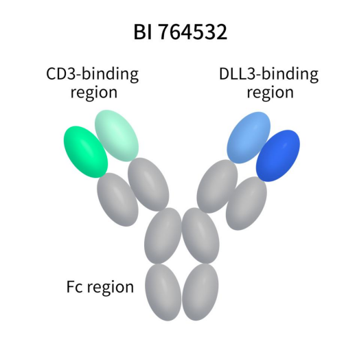 The structure of action of BI764532