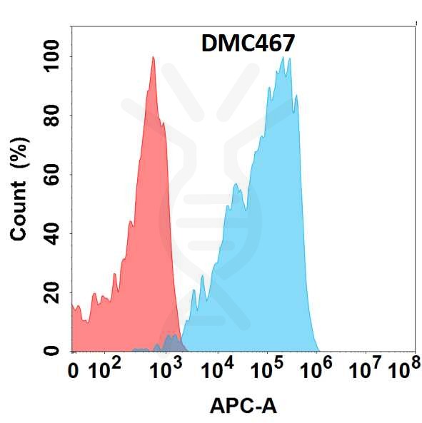 antibody-DMC100467 TGFBR2 Fig.1 FC 1