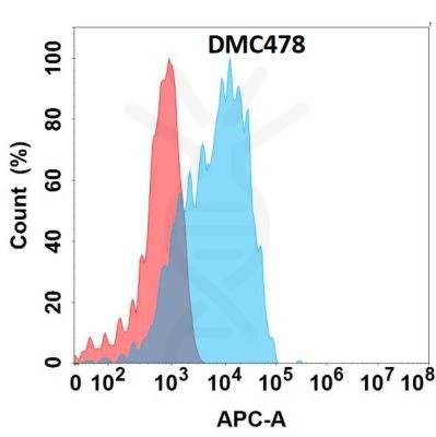 antibody-DMC100478 GPR87 Fig.1 FC 1