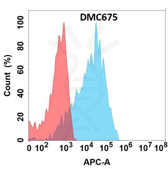 antibody-DMC100675 CDH6 Fig.1 FC 1