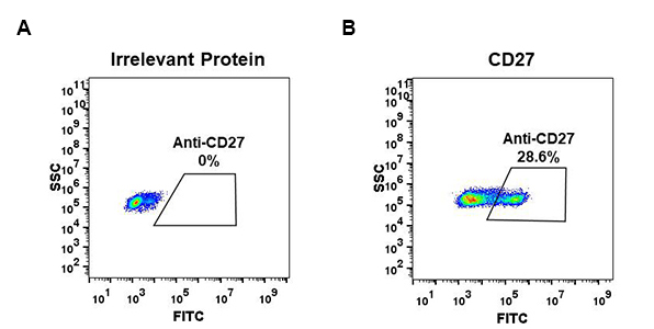 DME100057-CD27-Fig.1-FC-1.jpg