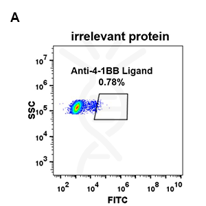 antibody-DME100068 4 1BBL 293 A FLOW fig 2
