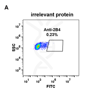 antibody-DME100070 2B4 293 A FLOW Fig2