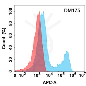 antibody-DME100175 Her3 Flow Fig1