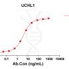 antibody-DME100214 UCHL1 ELISA Fig1