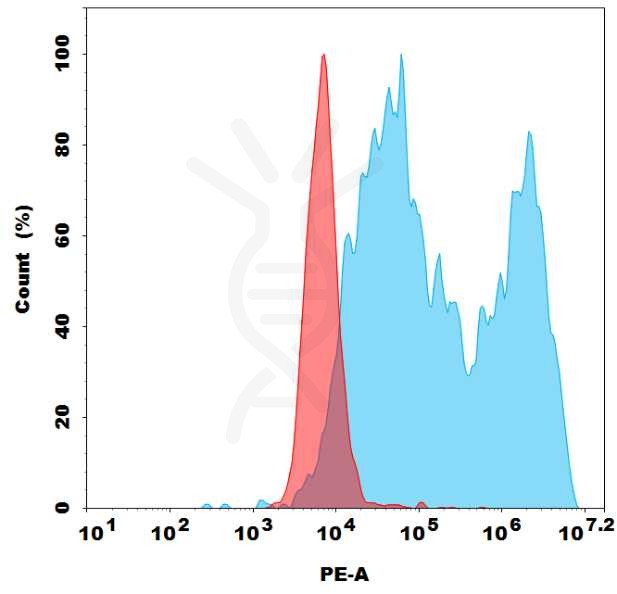 antibody-dmc100679p cxcr5 fc1