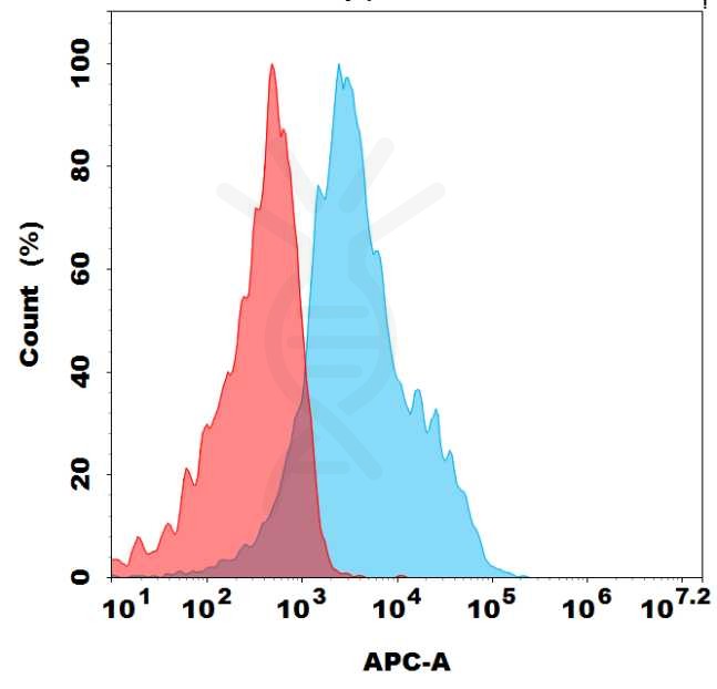 antibody-dme100204b cd73 fc1
