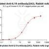 antibody-dme101184b il19 elisa1