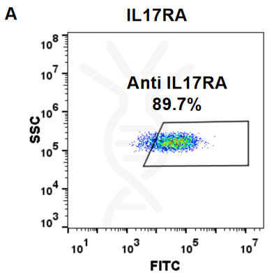 FC-BME100038 Anti IL17RA brodalumab biosimilar mAb FLOW Fig1 A