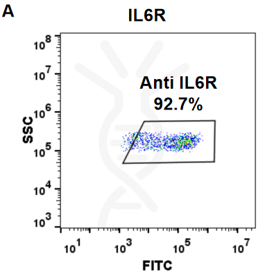 FC-BME100041 Anti IL6R tocilizumab biosimilar mAb FLOW Fig1 A