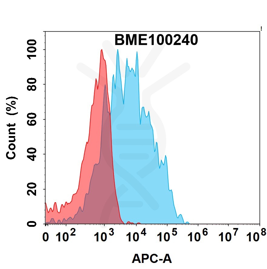 FC-bme100240 il13ra1 fc1