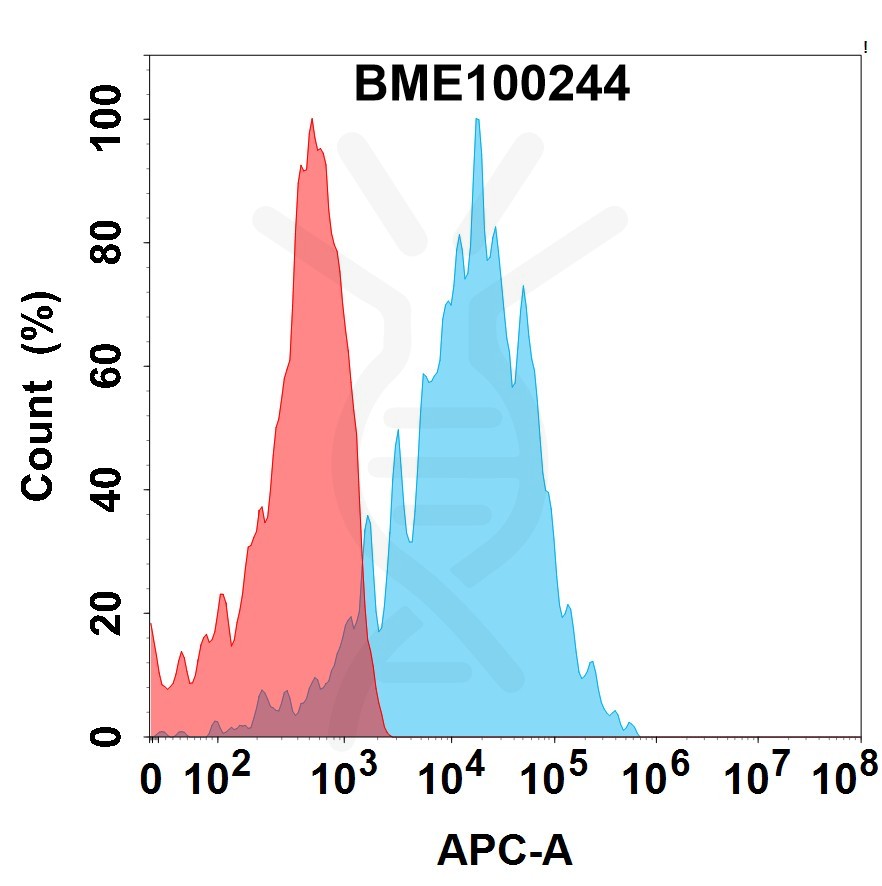 FC-bme100244 her3 fc1