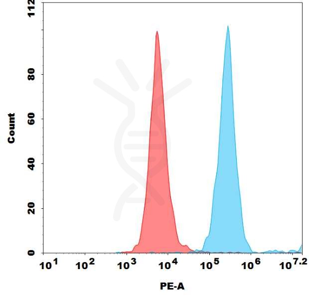FC-bme100683p cd19 fc1