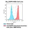 fc-cel100005 h egfr k562 cell line flow