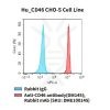 fc-cel100043 hu cd46 cho s cell line flow