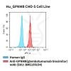fc-cel100061 hu gpnmb cho s cell line flow