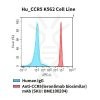 fc-cel100090 hu ccr5 k562 cell line flow