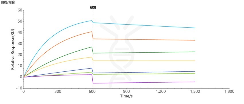 SPR-FLP100037 CCR8 Fig.3 SPR 1