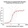 elisa-FLP100120 XCR1 Fig.1 Elisa 1