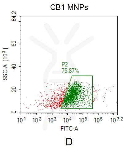 fc-FLP100009 CB1 Fig.2D FC 1