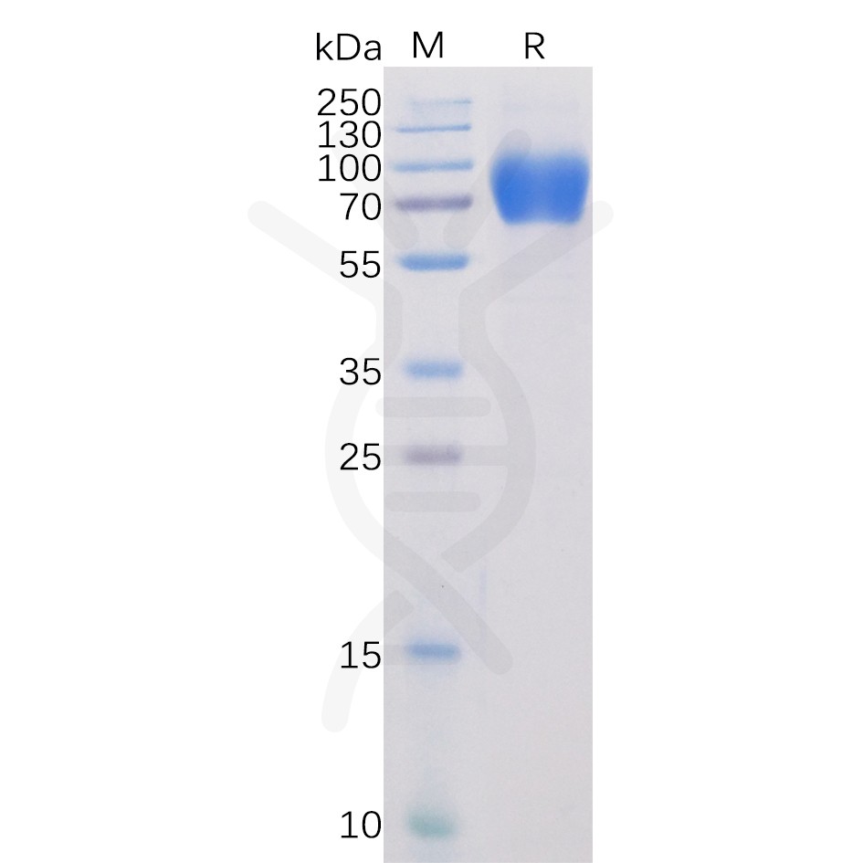 sp-pme100024 slamf1 sp1