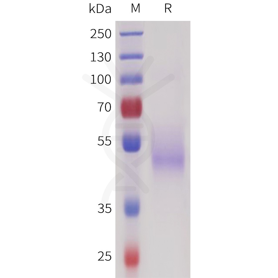 sp-pme101726 sez6 sp1
