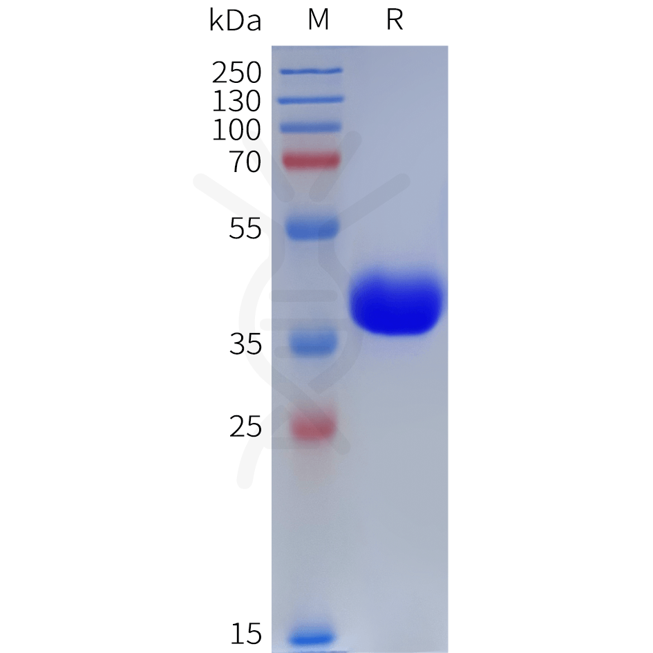 sp-pme101903 c3ar1 sp1