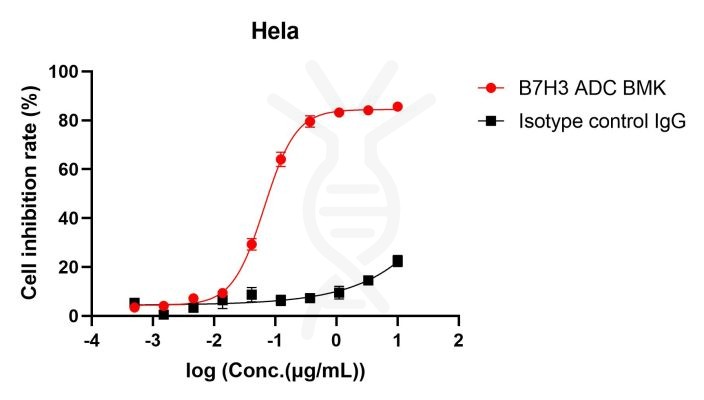 reagents-ame100003 internalization of labeled b7h3 adc antibody cck8